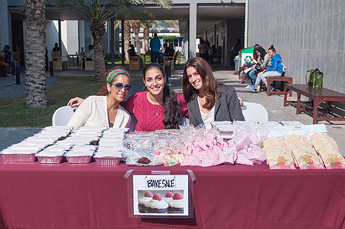 AUK Academic Advising Learning Support Services (AALSS), A Further Step Towards Academic Excellence