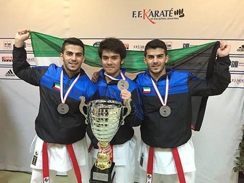 Twin_Karate_Silver2015_02.jpg