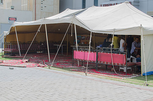 Auk celebrates 8th annual international week