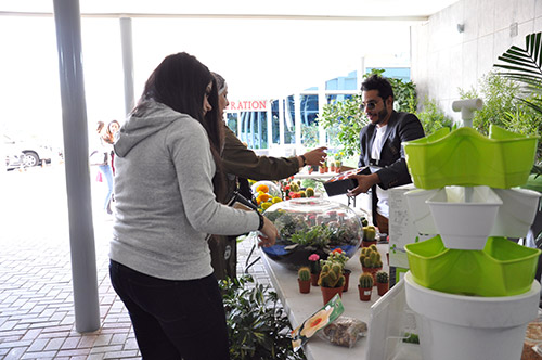 Cbe hosts hydroponic exhibition and workshop