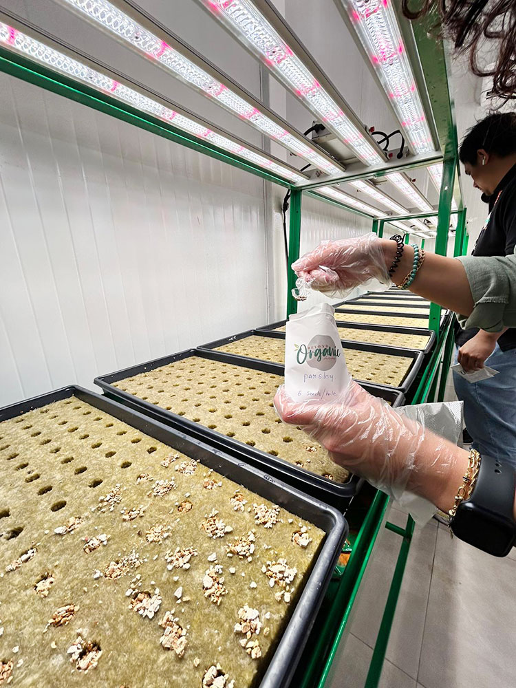 Auk introduces cutting-edge greenhouse with innovative tower farming technology