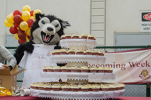 Auk celebrates its 10th homecoming week