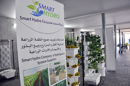 Cbe hosts hydroponic exhibition and workshop